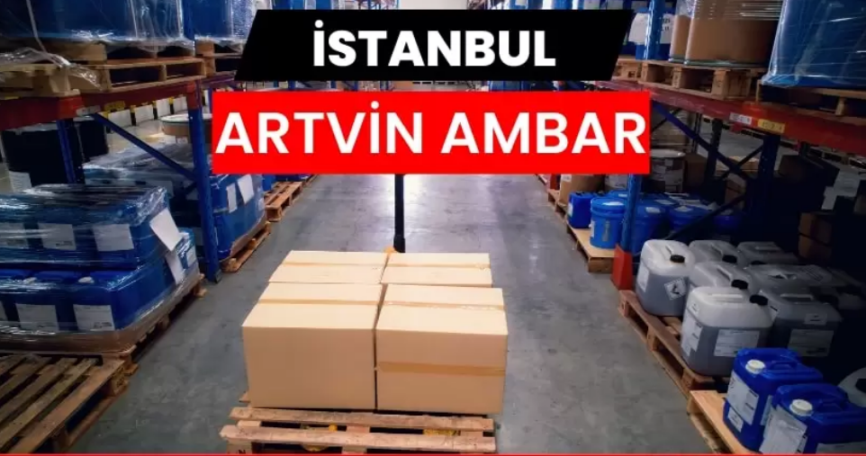 Güvenilir Taşımacılıkta Artvin Ambar Hizmetlerinin Önemi ve Profesyonel Çözümler