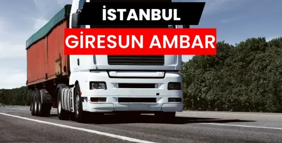 İstanbul Giresun Ambarı Ağlarının Bölgesel Ekonomiye Sağladığı Avantajlar